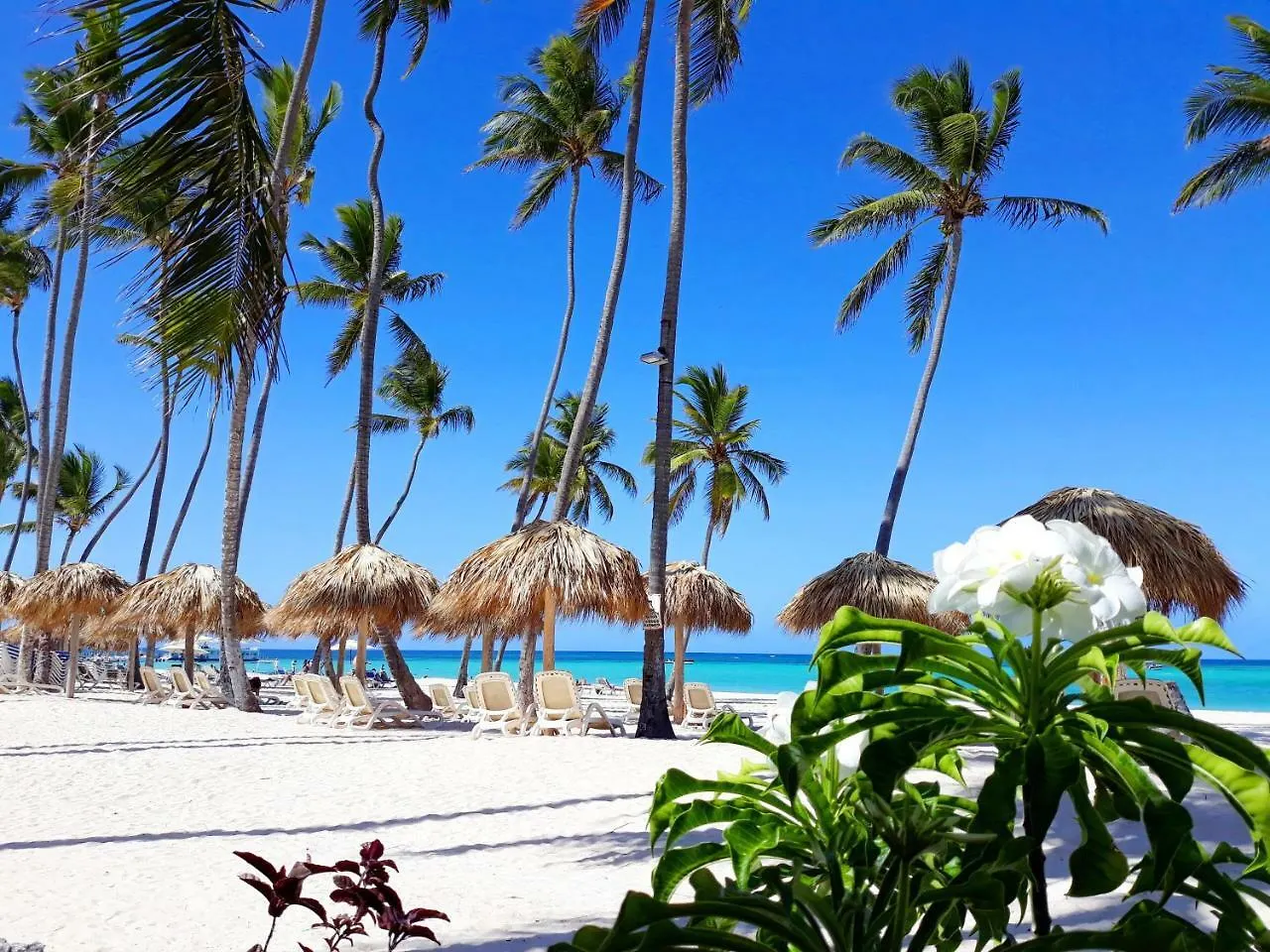 Beach Villas & Apartments Larimar Punta Cana Dominican Republic